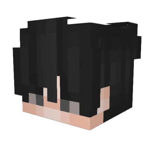 Evxnn_ Minecraft avatar head, 3D render