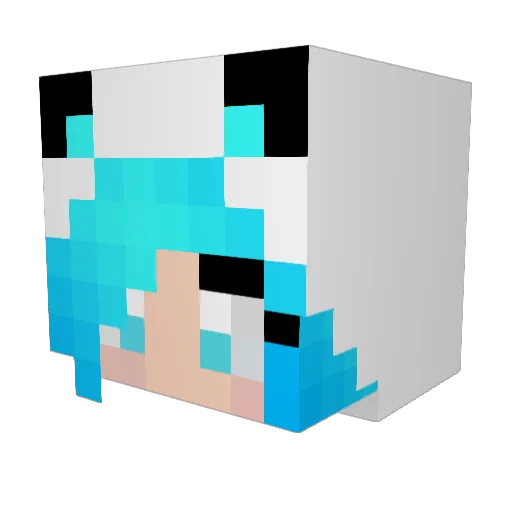 EvyGood Minecraft avatar head, 3D render