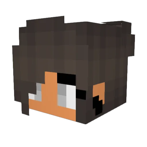 Evy_2004 Minecraft avatar head, 3D render