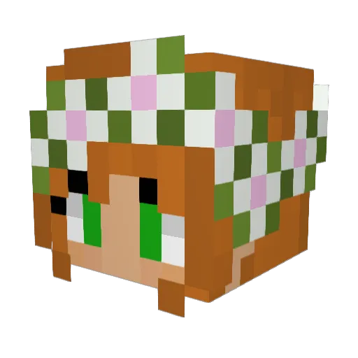 Evyt20 Minecraft avatar head, 3D render