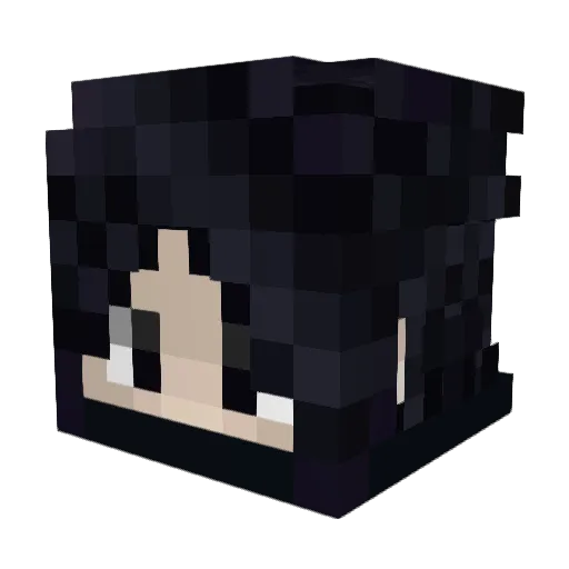 Ew4nXY Minecraft avatar head, 3D render