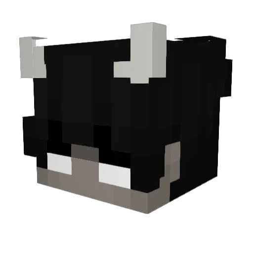 EwLeon Minecraft avatar head, 3D render