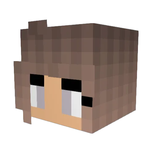 Ewakkk Minecraft avatar head, 3D render