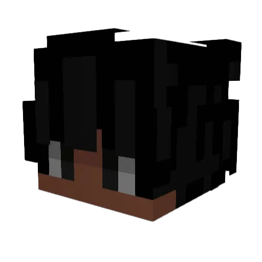 Ewaldd Minecraft avatar head, 3D render
