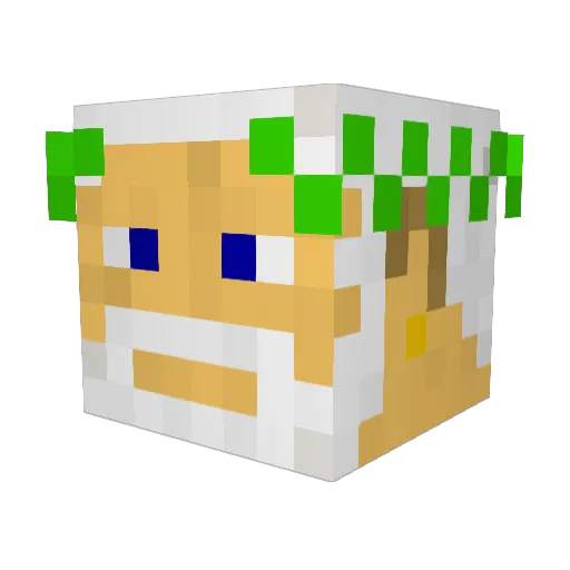 Ewan187 Minecraft avatar head, 3D render