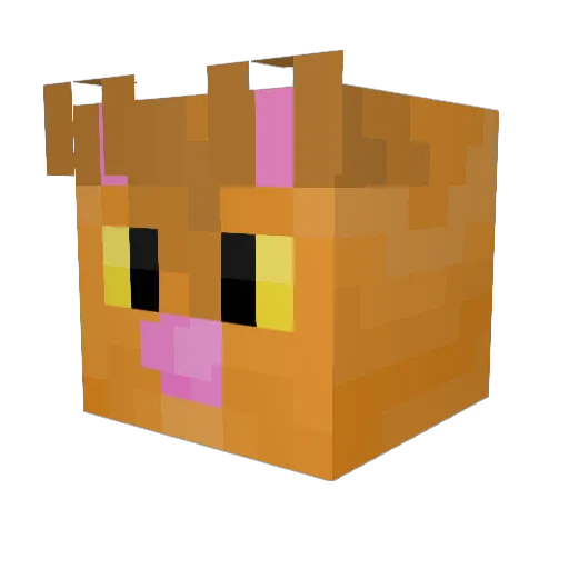 Ewan512 Minecraft avatar head, 3D render