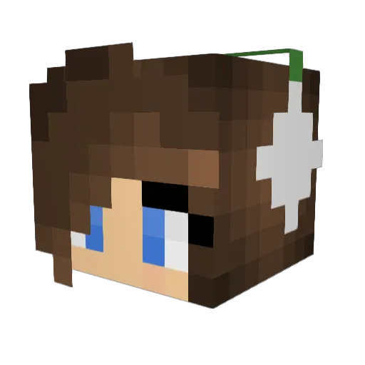 Ewan__Mcg Minecraft avatar head, 3D render