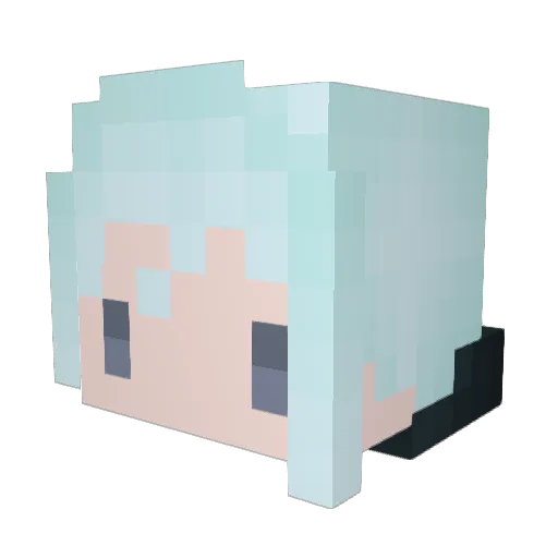 Ewang0508 Minecraft avatar head, 3D render