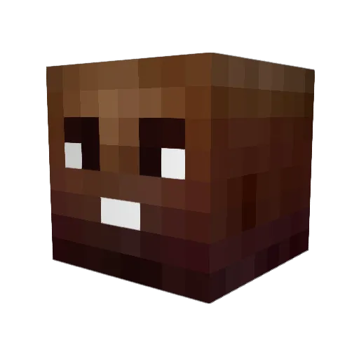 Ewanymous Minecraft avatar head, 3D render