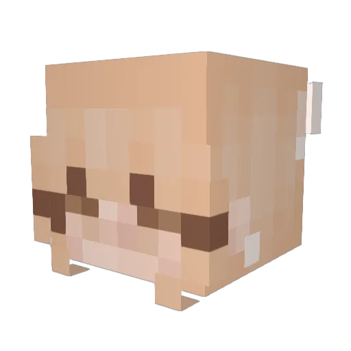 Ewhery Minecraft avatar head, 3D render