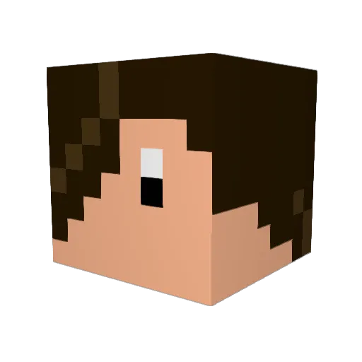 Ewiam Minecraft avatar head, 3D render