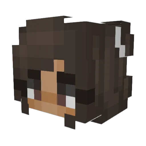 Ewitsjoyce Minecraft avatar head, 3D render