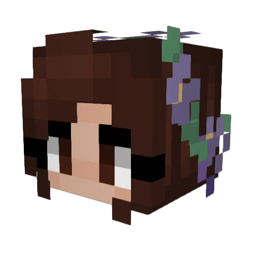 Ewizabeff Minecraft avatar head, 3D render