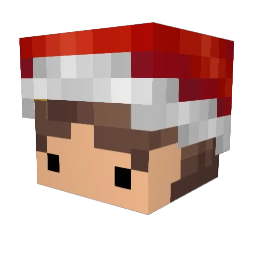 EwoEcho_ Minecraft avatar head, 3D render