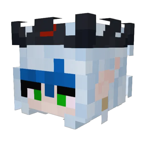 Ewok2014 Minecraft avatar head, 3D render