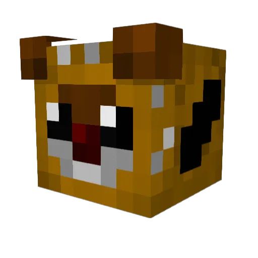 EwokFire Minecraft avatar head, 3D render