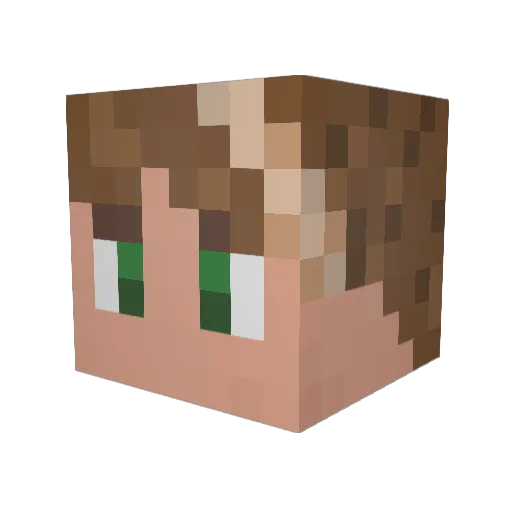 Ewokaboy Minecraft avatar head, 3D render