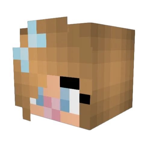 Ewokmuff Minecraft avatar head, 3D render