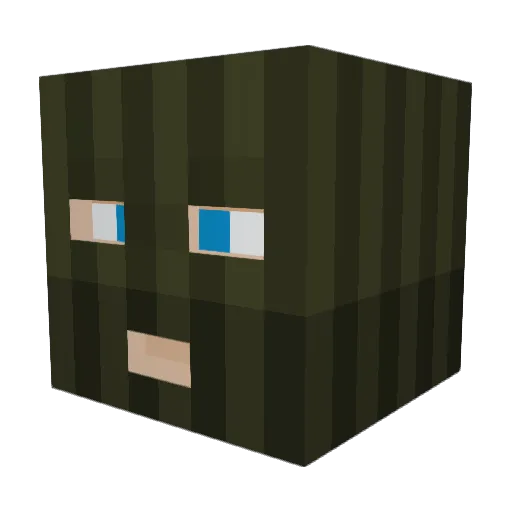 Ewokvess Minecraft avatar head, 3D render