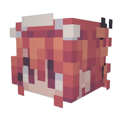 Ewoud324 Minecraft avatar head, 3D render