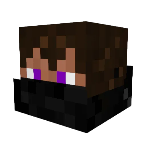 Ewranger Minecraft avatar head, 3D render