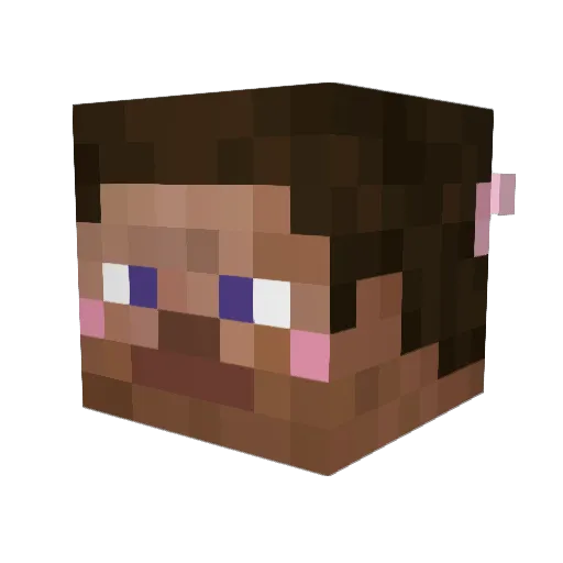 Ewwiii Minecraft avatar head, 3D render