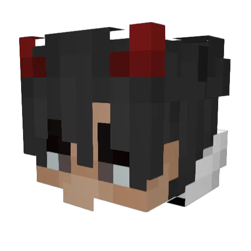 Ex0rl3eaTzz Minecraft avatar head, 3D render