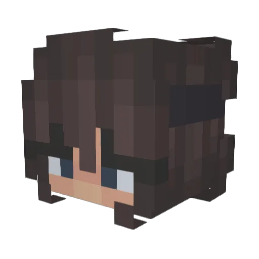 Ex0ticAppleZ Minecraft avatar head, 3D render