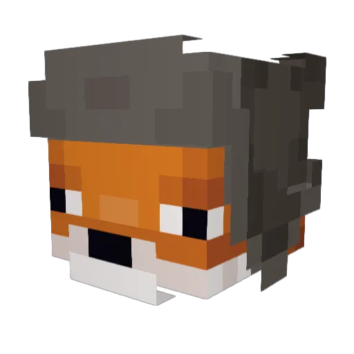 Ex0ticf0x Minecraft avatar head, 3D render