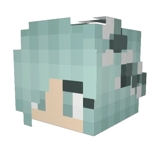 ExBaeBacca Minecraft avatar head, 3D render