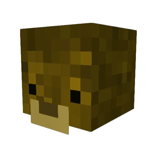 ExOtiiCxTwiST Minecraft avatar head, 3D render