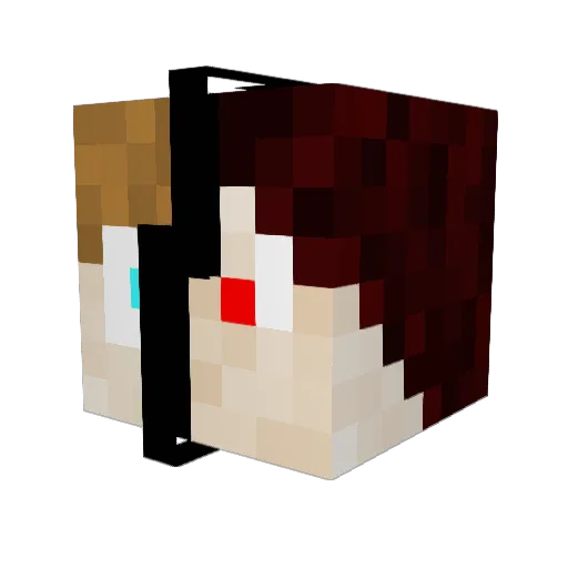 ExPeRtOmAtE Minecraft avatar head, 3D render