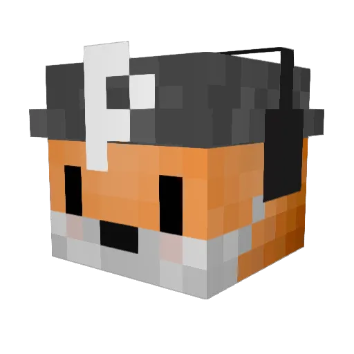 ExPulSo31 Minecraft avatar head, 3D render