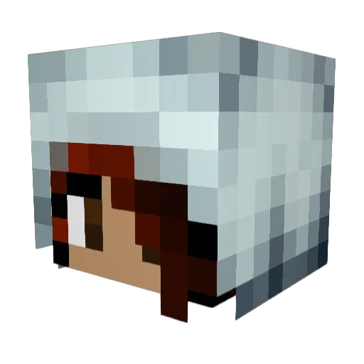 ExSpaZe Minecraft avatar head, 3D render