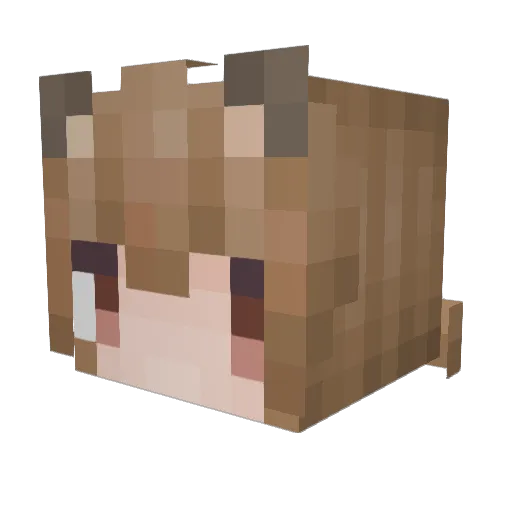 ExTetragon Minecraft avatar head, 3D render