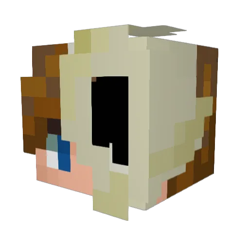 ExTheDuckLord Minecraft avatar head, 3D render