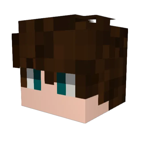 ExTr3MeCoBrA Minecraft avatar head, 3D render