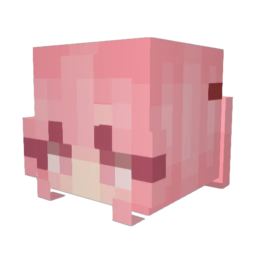 ExaXerox Minecraft avatar head, 3D render