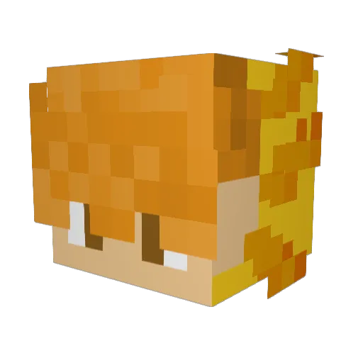 ExactlyNothin Minecraft avatar head, 3D render