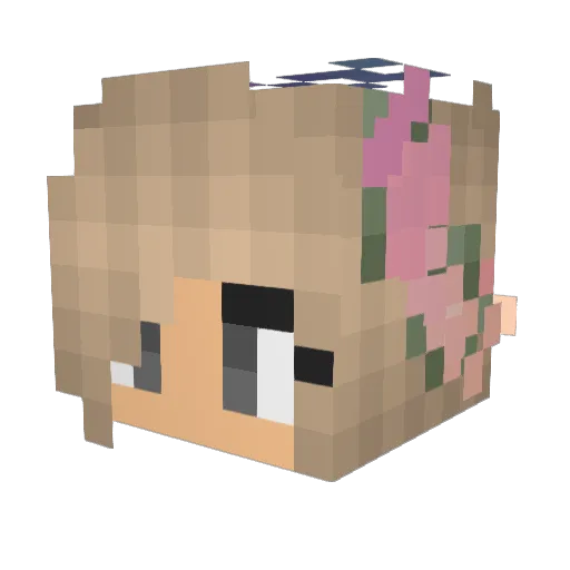 ExaltedJim Minecraft avatar head, 3D render