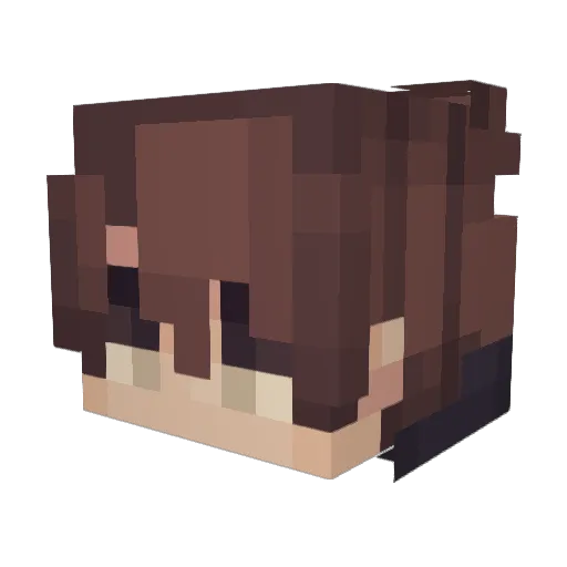 ExaltedYeti6209 Minecraft avatar head, 3D render
