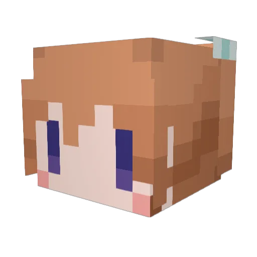 Exanclo Minecraft avatar head, 3D render