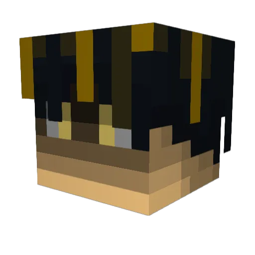 ExaviorInfinity Minecraft avatar head, 3D render