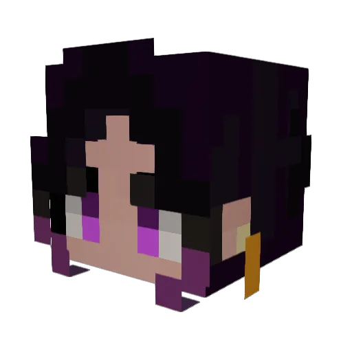 ExceededBag Minecraft avatar head, 3D render