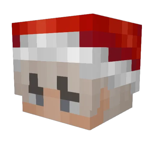 Excelle Minecraft avatar head, 3D render