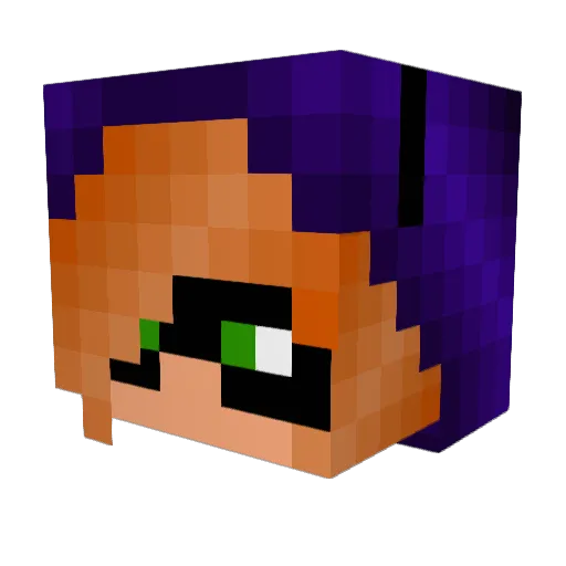 ExcellentVicious Minecraft avatar head, 3D render