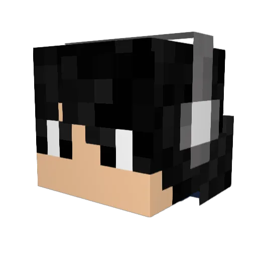 Excelsis07 Minecraft avatar head, 3D render