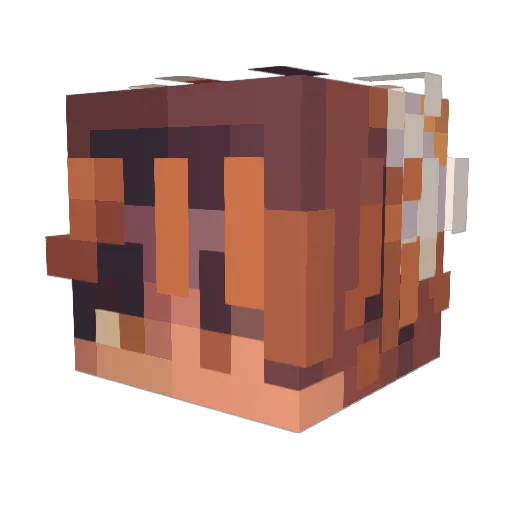 Exceptional27 Minecraft avatar head, 3D render