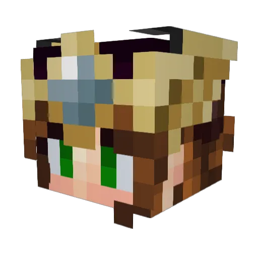 Excessivelol Minecraft avatar head, 3D render