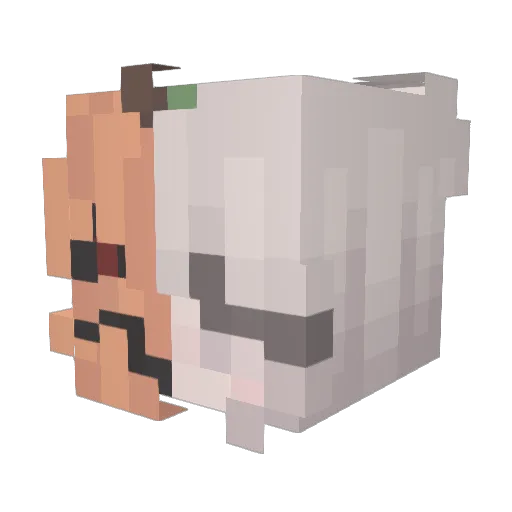 ExchangeProgram Minecraft avatar head, 3D render